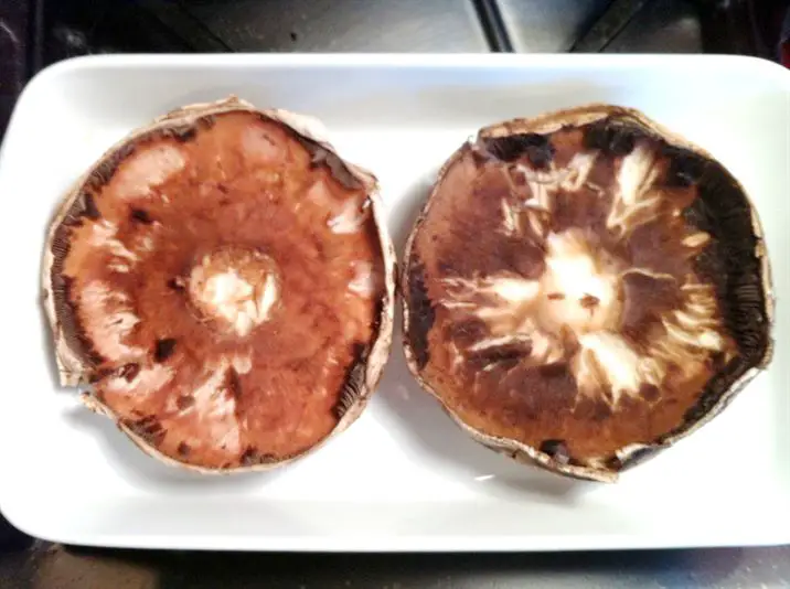 Baked Stuffed Portobello Mushrooms, Lay The Table