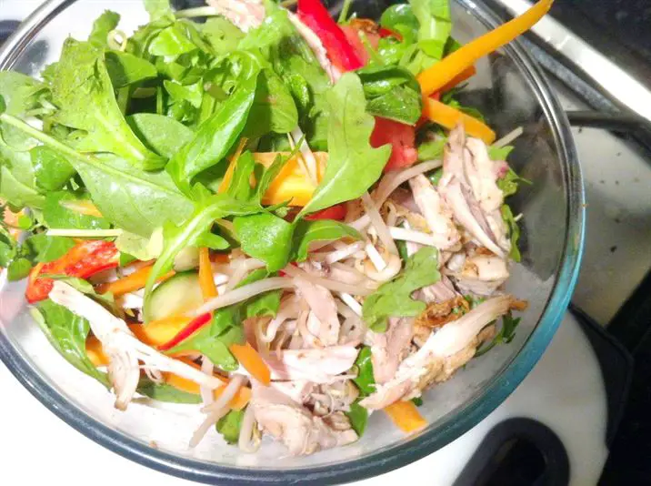 Roast Chicken, Beansprouts, Mango and Watermelon Salad with Wagamama Salad Dressing, Lay The Table