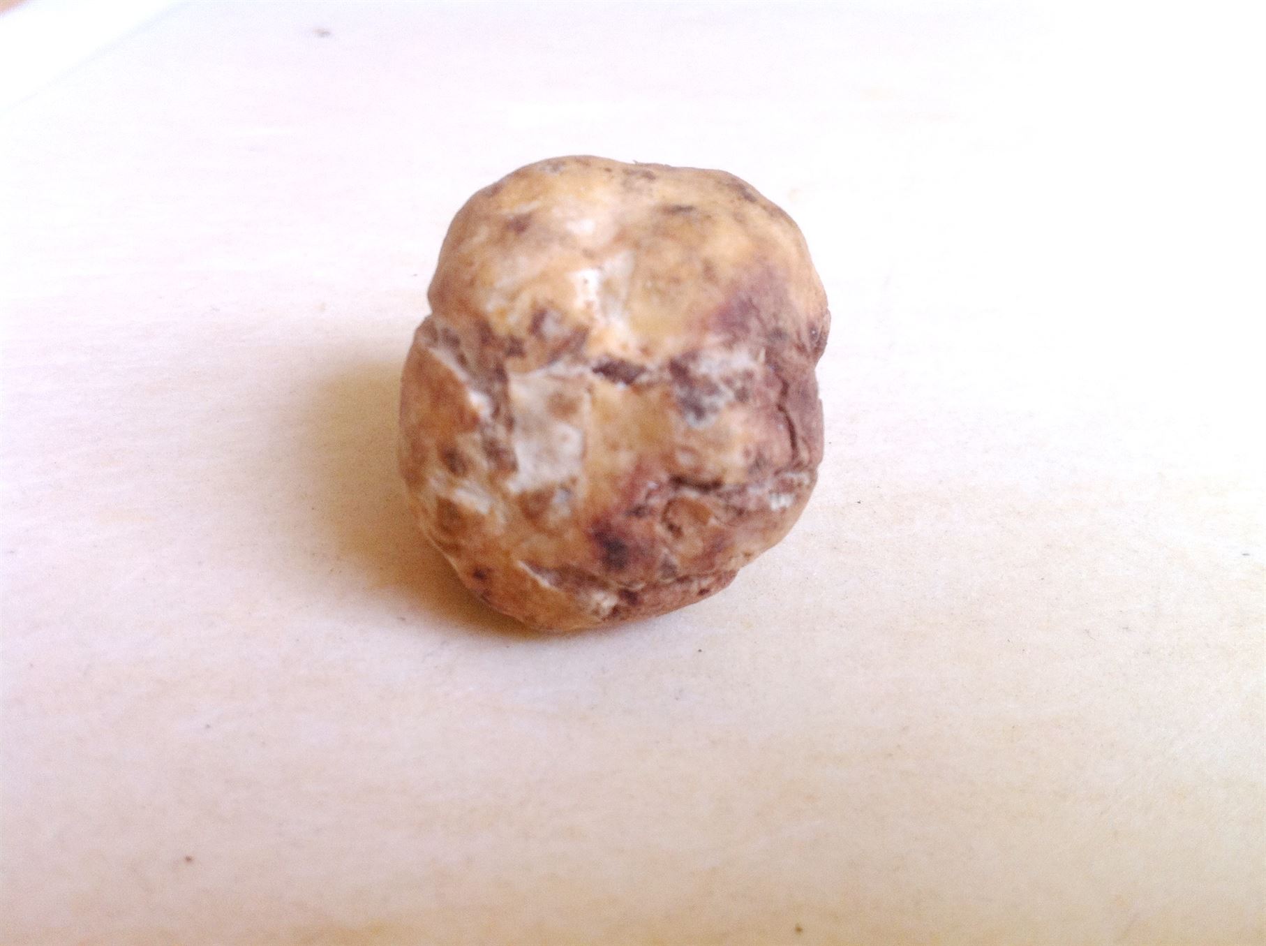 This ugly nugget is worth 50  white truffle, the food of the Gods., Lay The Table