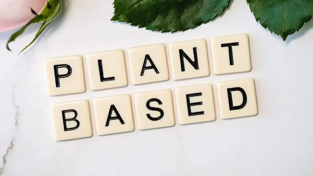 The plant-based diet for beginners